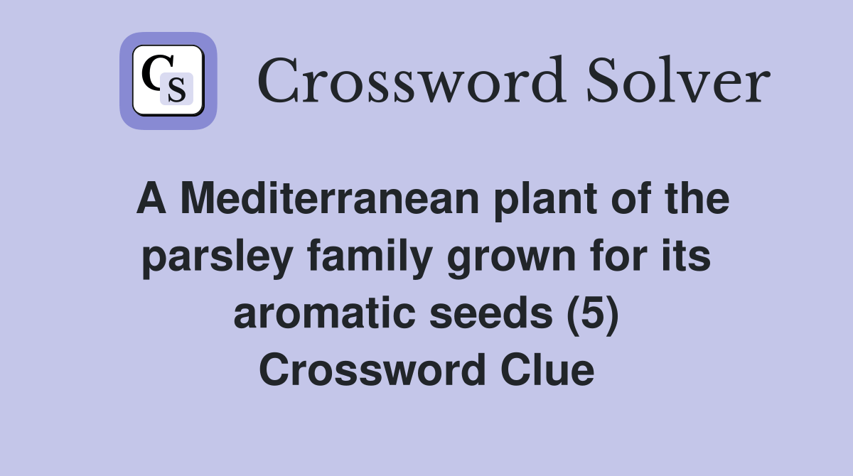 A Mediterranean plant of the parsley family grown for its aromatic